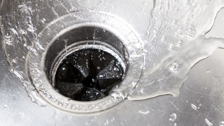 Water going down sink disposer