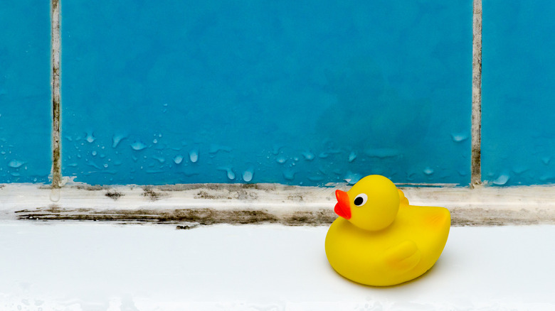 Yellow rubber duck moldy tub