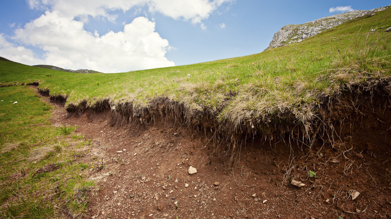 heavily eroded soil