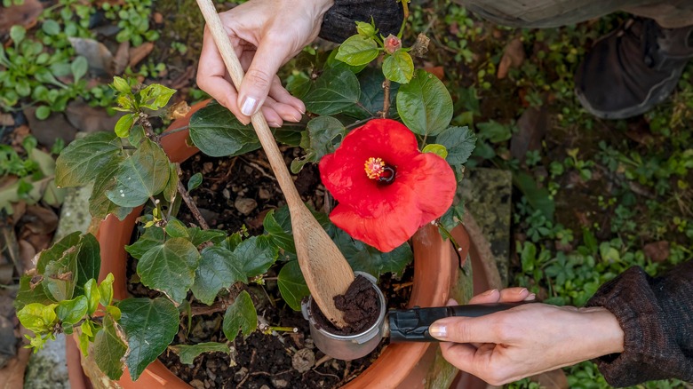 Woman using spoon for gardening