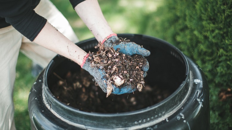 Person holding composting materials over bucket