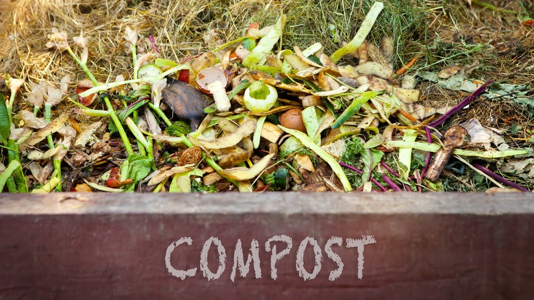 compost heap