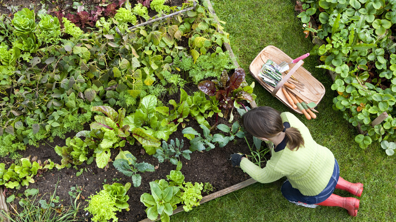 woman working in garden