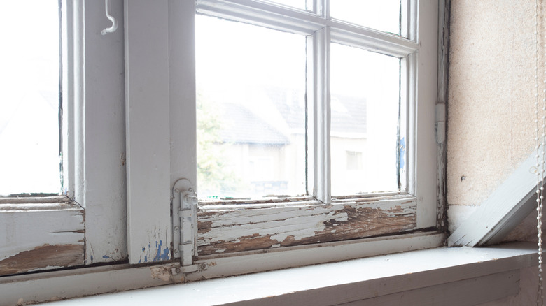 Windows affected by water intrusion