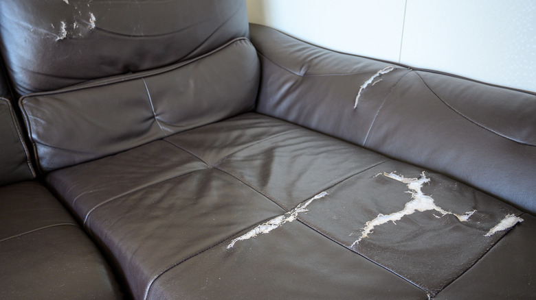 damaged leather couch