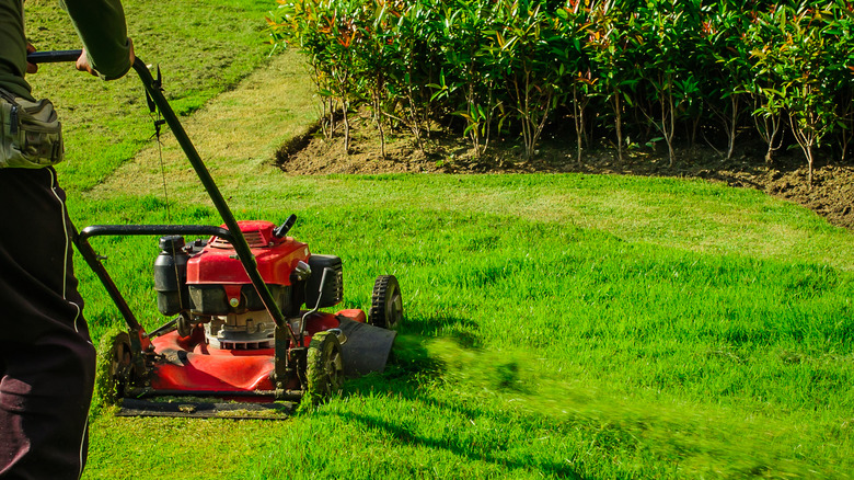 cutting lawn different direction 