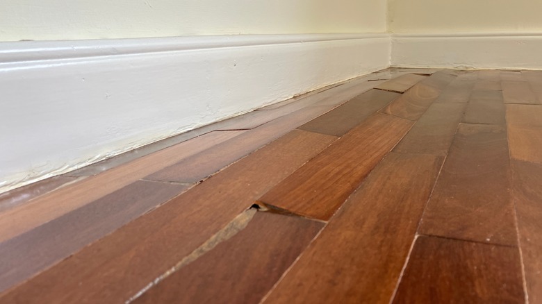 Close-up of water damaged flooring