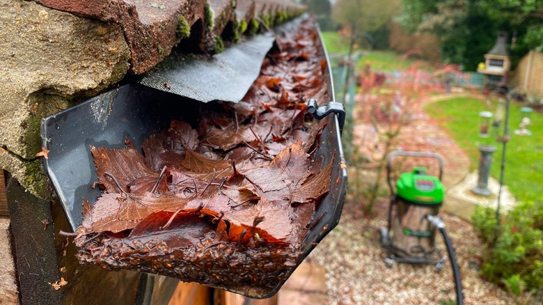 blocked gutter water and leaves 