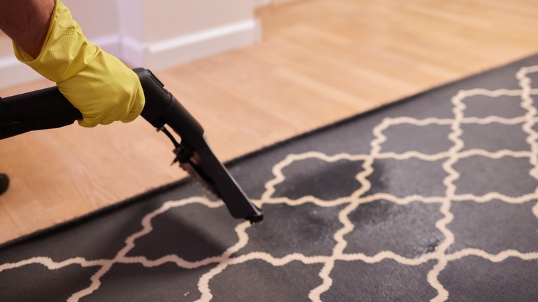 person using a wet vacuum on carpet