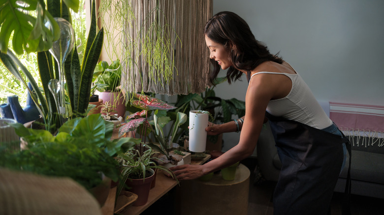 A woman arranges her plants.