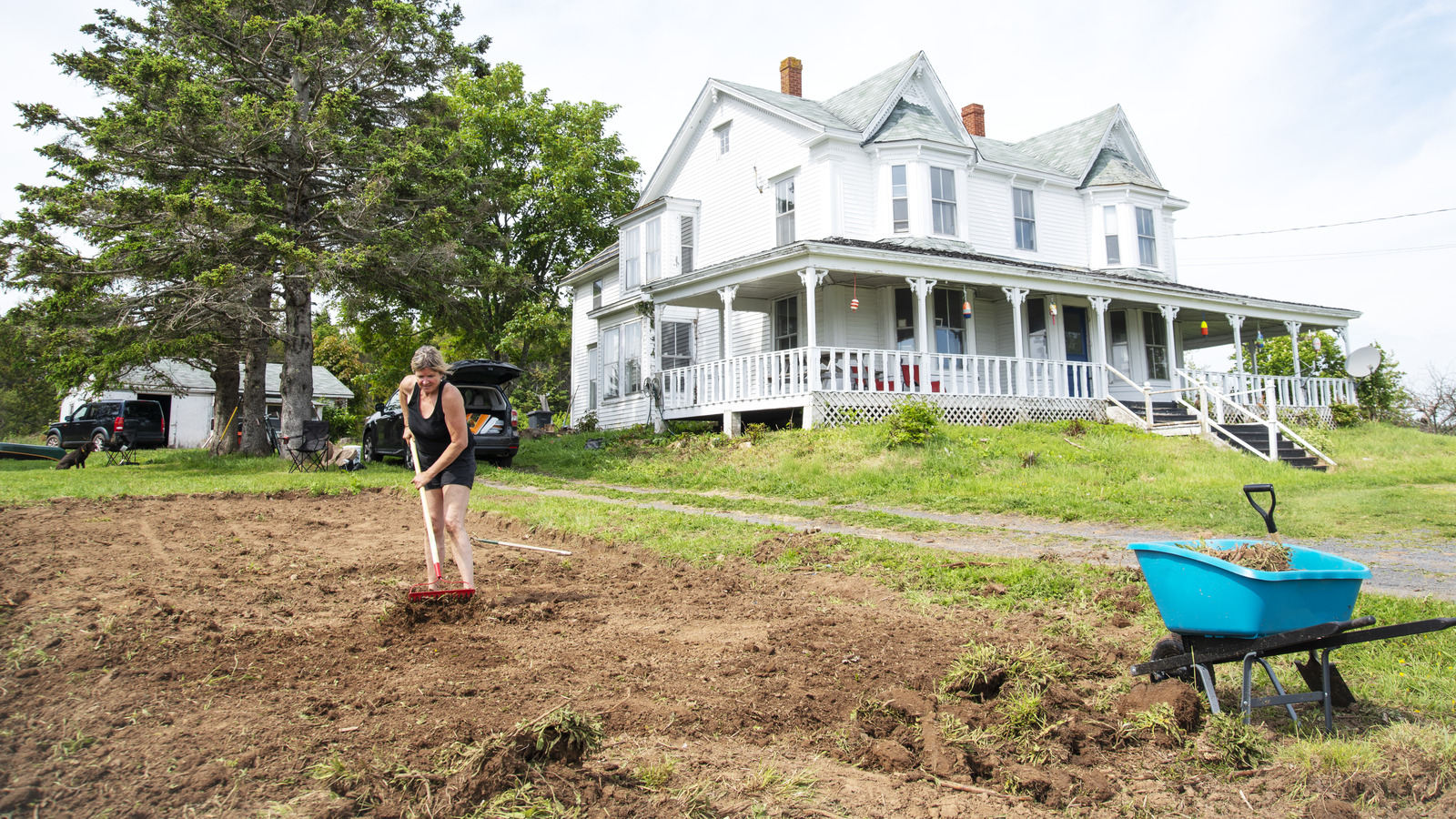 Why You Should Be Covering Your Grass Seed With These Materials