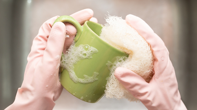 Washing dishes with luffa sponge