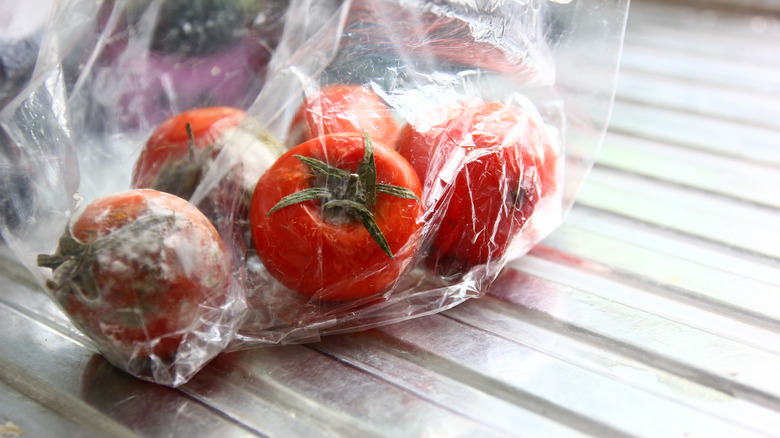 Rotten tomatoes in plastic bag