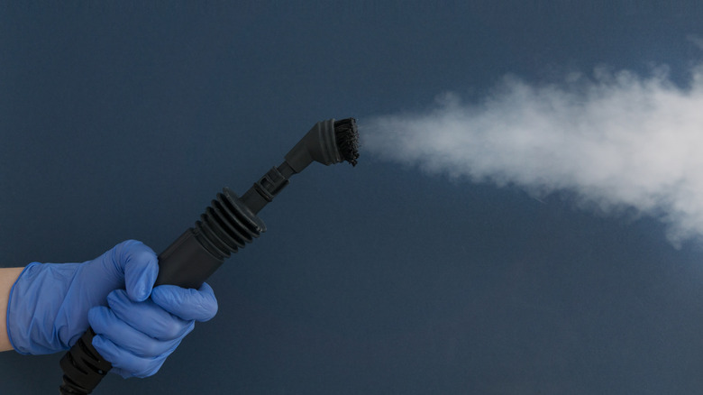 Person holding steam cleaner