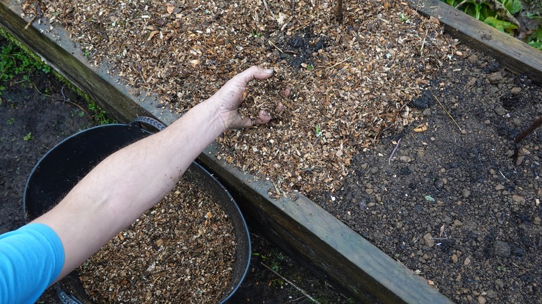 person adding mulch to garden