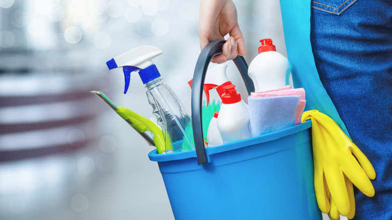 woman carrying cleaning products