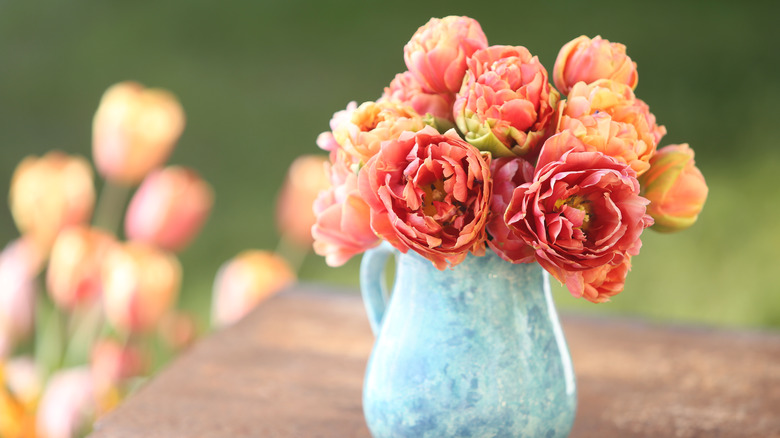 Vase of cut flowers