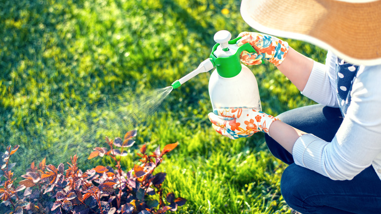 woman using spray bottle