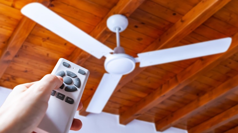 fan with remote