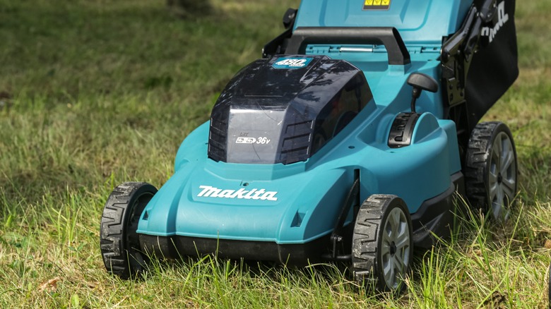 Why You Should Consider A Brushless Lawn Mower For A More Durable Machine