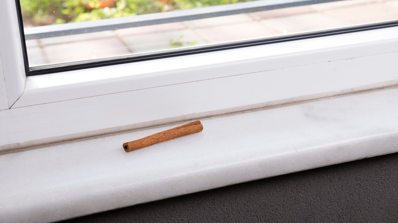 Cinnamon stick on windowsill