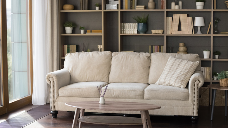 bookcase behind sofa