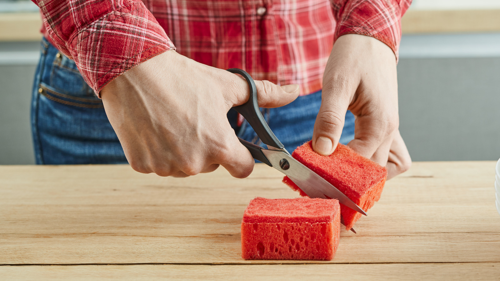 Wondering What To Do With Your Germ-y Kitchen Sponge? - Center for