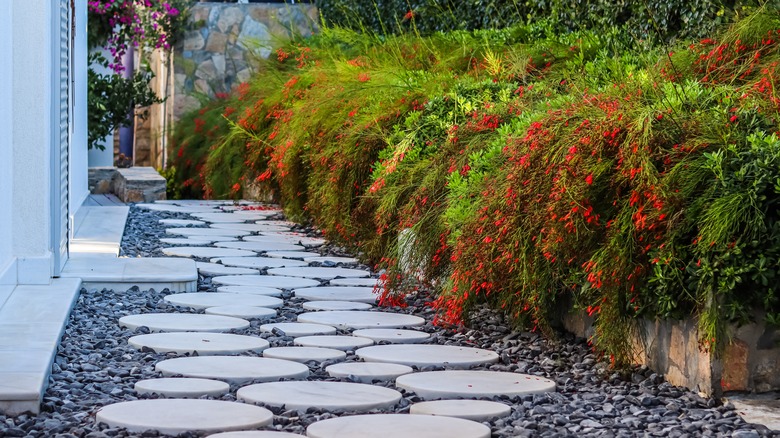 Landscaped garden with a round white marble walkway and black gravel.