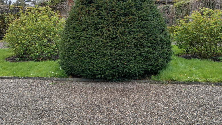 landscaped area covered in pea gravel