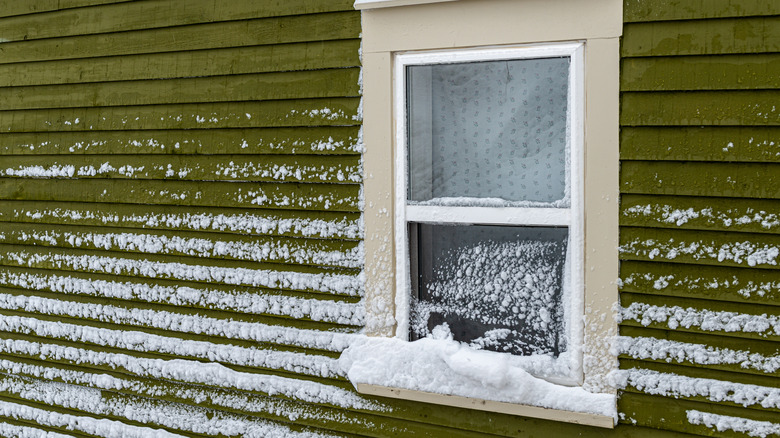 Snow stuck on window screen