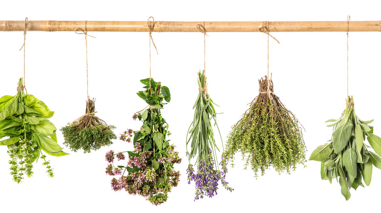 Bundled herbs hanging from stick