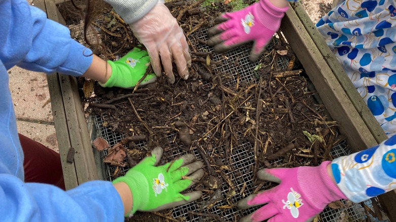 hands sifting compost