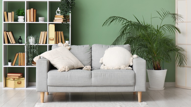 styled bookshelf by a couch and plant