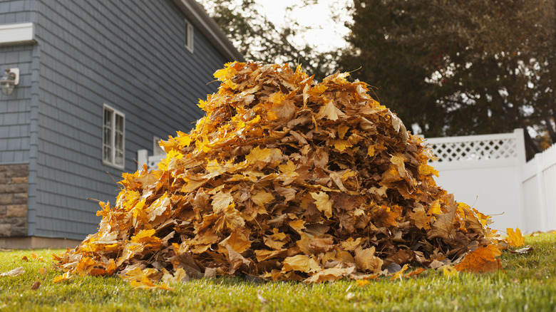 leaf pile in front of house