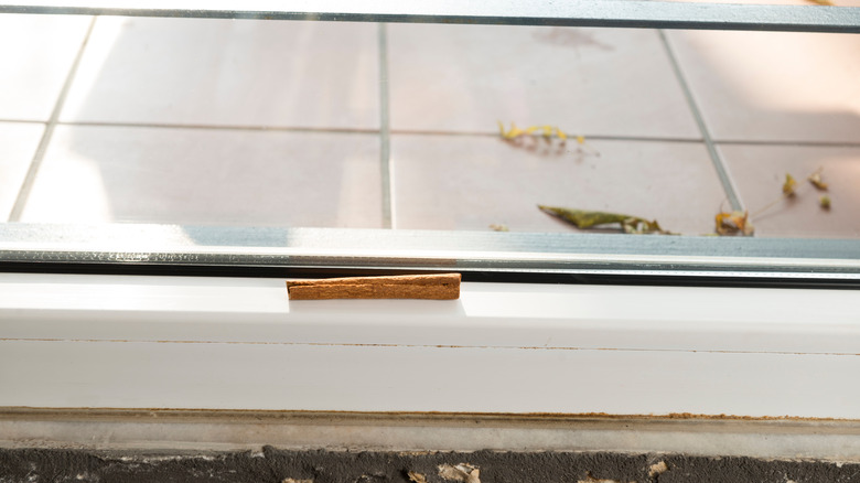 Cinnamon stick on windowsill