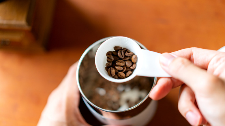 Person holding scoop of coffee