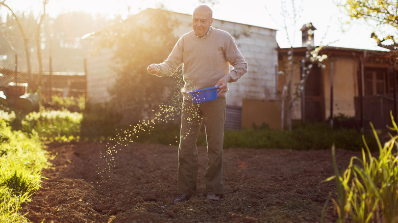 man spreading seeds