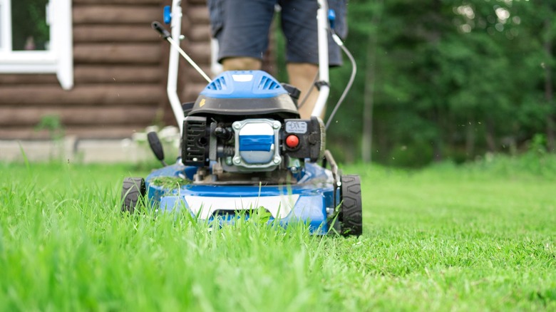 lawn mower cutting grass and leaving clippings