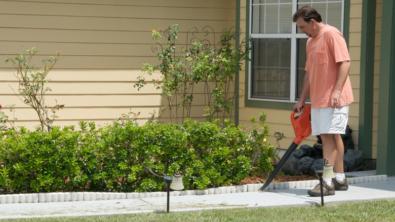 man blowing lawn clippings