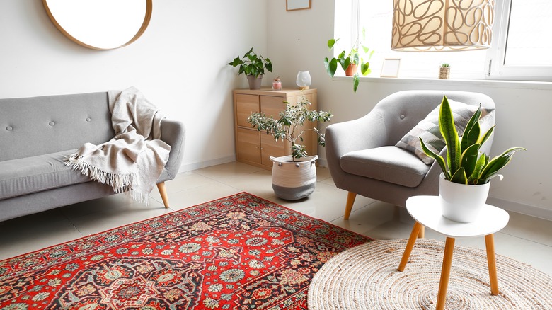 houseplants in living room 