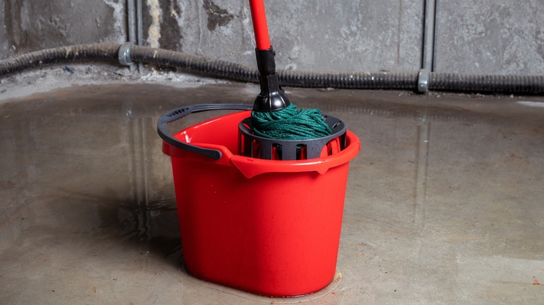 Mop and bucket in basement