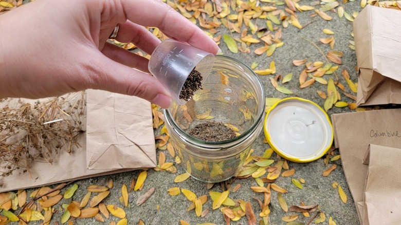 saving seeds in glass jar