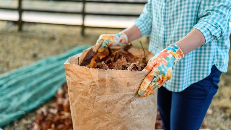 carrying bags of fallen leaves