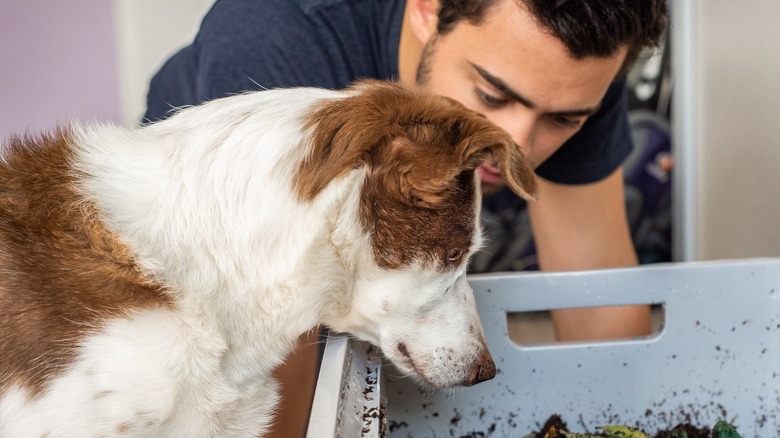 Man with dog looking at fertilizer 