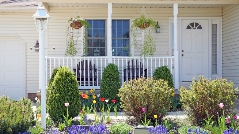 house's front yard garden