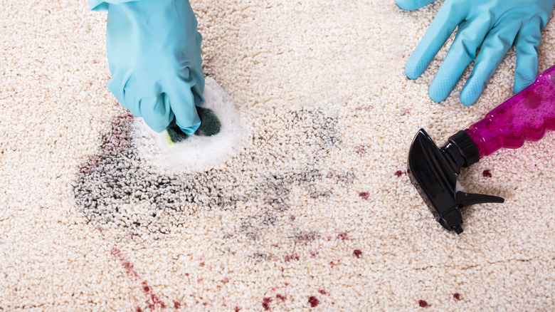 Person cleaning carpet stain 