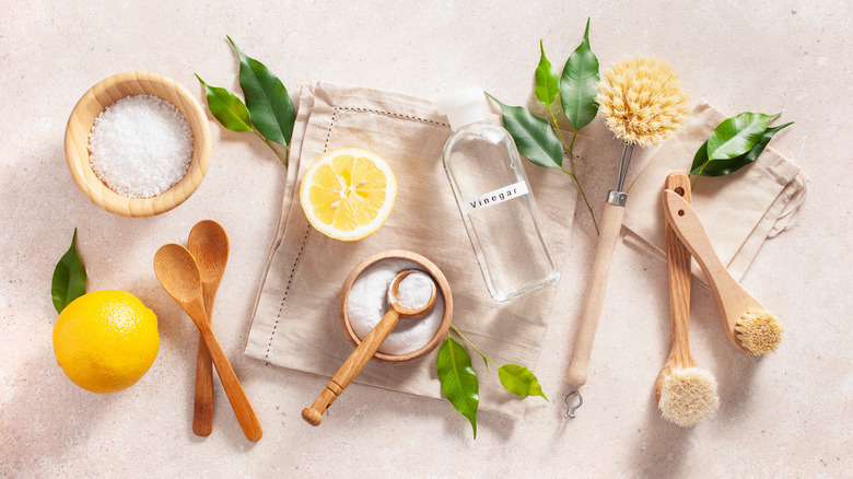 natural cleaning substitutes