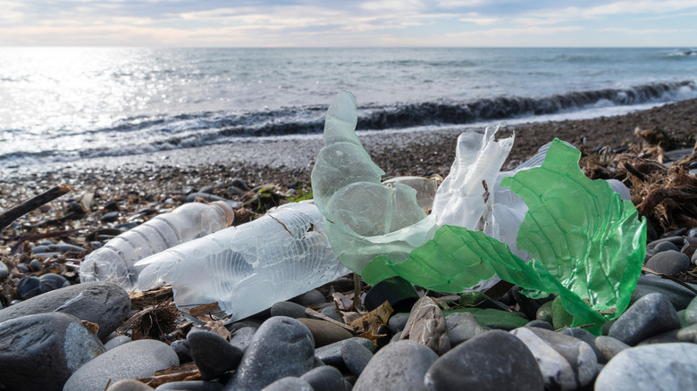 Plastic pollution on beach