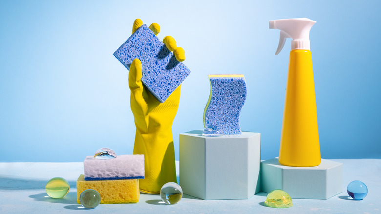 sponges, gloves, and spray bottle