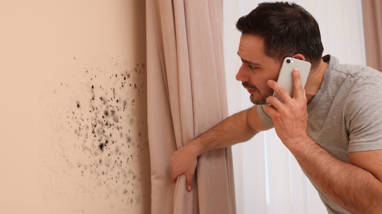 man looking at mold